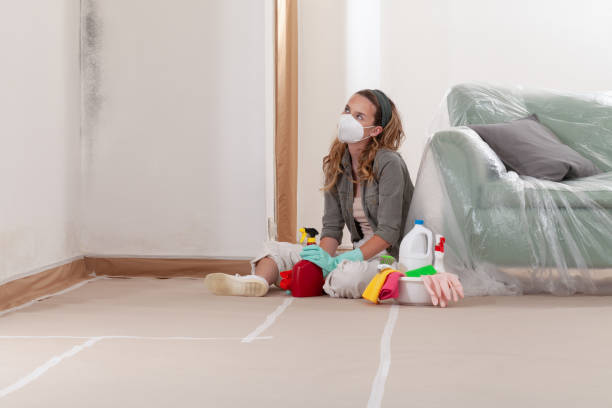 Reliable Attic Mold Removal contractor in The Colony, TX by WQB Mold Removal